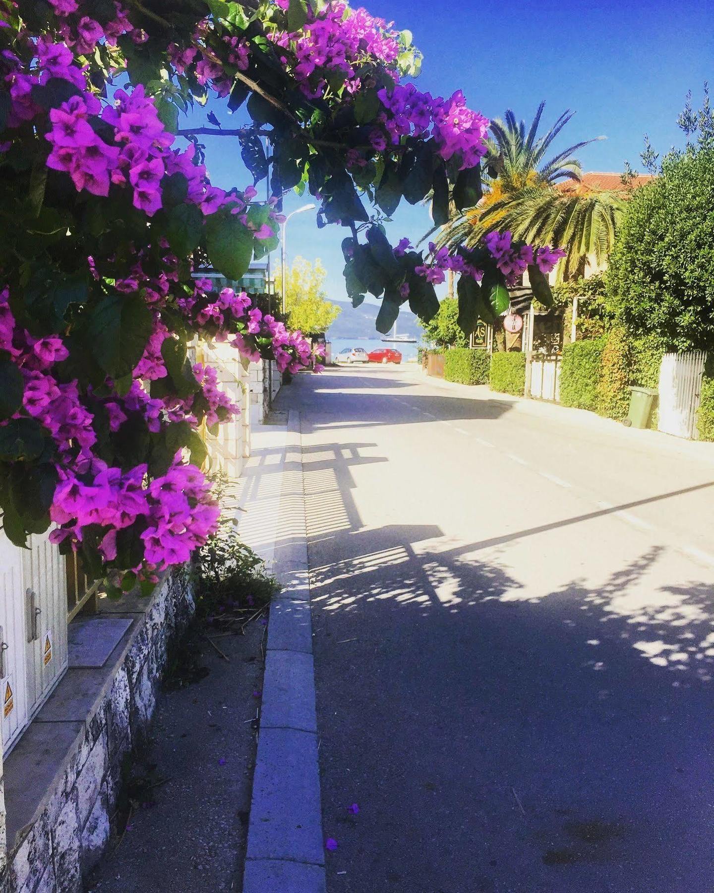 Hotel Splendido Bay Tivat Exteriör bild